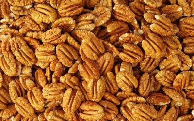 New Pecans at the Roadhouse