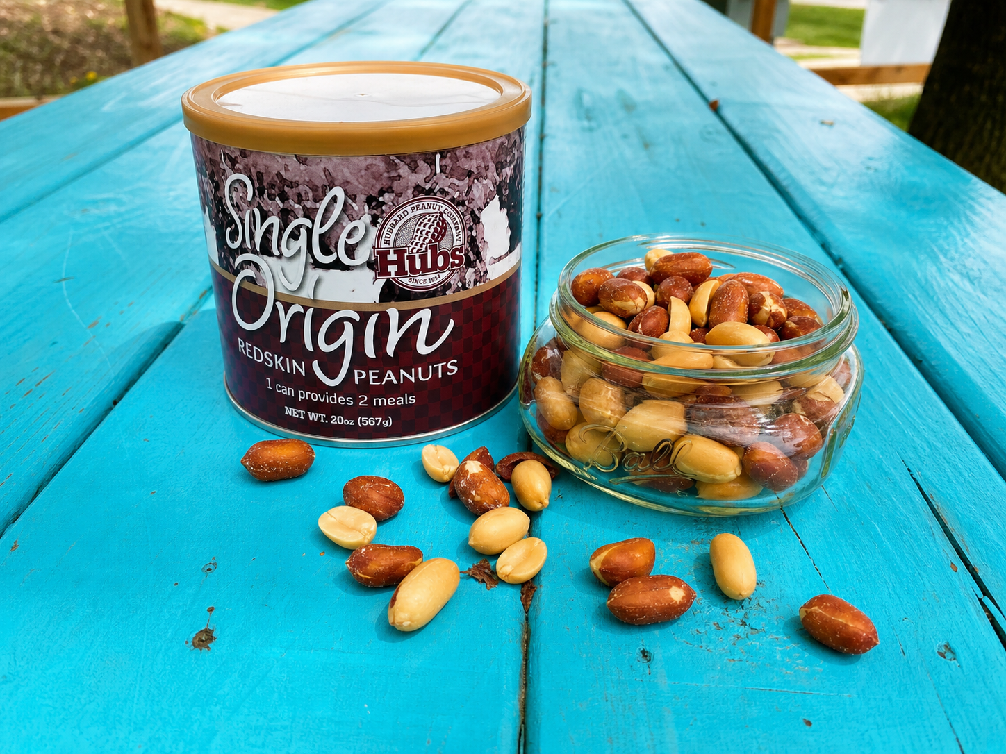 A can of Hubs single origin peanuts sits on a picnic table, with a few of the red skin peanuts spilled out next to it.