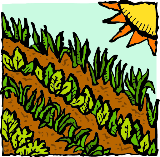 A graphic of a farm field with a large sun shining over it.